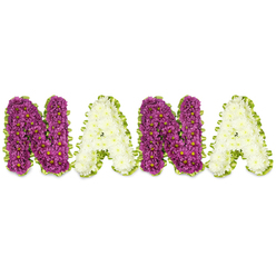 A three-dimensional floral tribute spells NANA in large, sculpted letters, each one lovingly built from tiny chrysanthemum-like blooms and set against a pristine white backdrop that emphasises shape, texture and hue. The first and third letters-both Ns-are composed of dense clusters of rich magenta to plum-purple chrysanthemums, each head tipped with a small yellow centre that catches the eye like a steady, comforting note. The As are formed from compact, creamy white blooms, their soft ivory tone offering a calm counterpoint to the vivid purple. A bright lime-green border-pleated ribbon or finely arranged greenery-traces the outer edges of every letter, its lively colour and delicate ripple providing a fresh, natural frame that lifts the composition. The overall effect is lush and substantial yet quietly reverent; petals overlap in a sculpted surface whose tiny textures read up close as velvet-to-the-touch and from a distance as a unified word of love. This piece is ideal for a funeral tribute to a beloved grandmother, a tender centrepiece for a memorial service at a church near the High Street or a respectful floral for a chapel at the Botanic Garden. As Flowers Oxford we arrange these bespoke letters with attention to scent, seasonality and safe transport across Oxford-from Summertown to Cowley-so the tribute arrives intact and poised for moments of remembrance. The arrangement radiates a gentle dignity: handcrafted, locally realised, and composed to honour memory with soft colour and enduring craftsmanship.