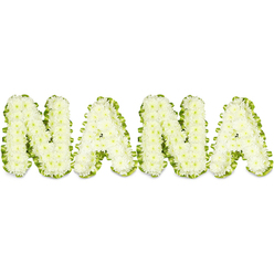 A heartfelt tribute spelling out NANA in snowy white chrysanthemums is captured against a stark white backdrop, the small, button-like blooms packed tightly to form soft, cloudlike letters. Each capital character is sculpted from hundreds of pristine florets whose delicate, closely layered petals create a pillowed surface that seems to glow under gentle, even lighting. Around every letter a pleated band of vibrant green foliage or ribbon cradles the flowers, its cool, fresh tone offering a living frame that symbolizes renewal and the quiet persistence of memory. From a florist's vantage, the careful clustering of each chrysanthemum head gives the letters reassuring substance and a tactile softness - you can almost sense the fragile, papery texture of the petals beneath your fingertips. The arrangement reads as calm and consoling: understated rather than ornate, an emblem of respect and affection often chosen for memorials, visitations, or a graveside farewell for a cherished grandmother. The pale white and verdant green palette suggests purity, peace and natural grace; the workmanlike precision of the design speaks to a steady hand and compassionate intent. Imagining it in an Oxford setting, the piece would resonate in quiet chapels near University Parks or at a service close to Magdalen, bringing a gentle, soothing presence. This floral tribute communicates love, remembrance and the quiet dignity of a life well tended, offering comfort to those who come to say goodbye.