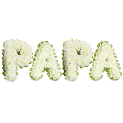 A lovingly crafted memorial piece spelling PAPA in large, capital letters, each formed from dozens of small, immaculate white chrysanthemums or comparable petite white blooms that create a plush, slightly domed texture across every character. The flowers are assembled so closely the eye reads a continuous soft surface, their ruffled petals and subtle shadows giving depth and a tactile softness. Around each letter a pale lime-green ribbon or a neatly pleated strip of foliage is tucked and folded, its wavy outline lending definition and a gentle pop of colour that frames the white without competing. Set against a stark white background, the letters float with calm presence, emblematic of the restrained elegance many families request for funeral tributes in Oxford. The arrangement evokes the quiet scent of fresh chrysanthemums and the careful hand of an experienced florist, each stem wired and positioned to hold clear, even lines while preserving natural movement. Intended as a sympathy or memorial tribute to a beloved father figure, this piece carries the traditional symbolism of white for purity and green for renewal, suitable for services at local crematoria or parish churches near Banbury Road, Jericho, or Headington. Prepared with the thoughtful attention of local florists, including bespoke options available through Flowers Oxford for same-day arrangements across the city, the design reads as both personal and formal - a succinct, heartfelt expression of mourning, respect and enduring affection for a cherished paternal presence.