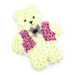 A lovingly crafted floral teddy bear tribute appears centred against a clean white background, the kind of arrangement a family in Oxford might select for a child's farewell or a memorial service in Botley or Cowley. The bear's entire form-its rounded head, upright ears, curved arms, and sturdy little feet-is built from tightly packed white chrysanthemums, with just a whisper of cream running through some petals. This close clustering gives the bear the illusion of softness, as though its floral fur could be stroked. Two small, dark, bead-like eyes are set symmetrically into the face, joined by a neat black triangular nose that adds definition without overwhelming the gentle expression. Beneath, the petals curve subtly to suggest a shy, peaceful smile. A vivid floral waistcoat spans the teddy's chest, created from blooms in shades of rich pink, mauve, and soft lilac, arranged like two neat panels that frame the centre. At the neckline, a sheer purple net bow is tied with care, the light-catching mesh introducing a different texture that contrasts with the velvety petals. The simple background and bright, even lighting highlight every element of the design, from the compact domes of chrysanthemum heads to the slightly ruffled edges of the coloured flowers. This tribute feels both playful and reverent, evoking childhood comfort while honouring a life with dignity. It is the sort of piece an experienced Oxford florist would place on a small casket, or beside a framed photograph at a service near the High Street, bringing a quiet, floral embrace into a moment of deep emotion.