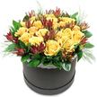 A contemporary round hatbox arrangement of golden yellow roses and burgundy leucadendron is photographed against a simple white backdrop, allowing every detail of the design to stand out clearly. The flowers are gathered into a neat, dome-shaped cluster, the roses pressed closely together so their velvety petals overlap and create a plush, cushion-like surface. Their yellow tone is rich and warm, echoing the glow of an Oxford sunset over the spires, and you can almost imagine a light, sweet perfume drifting from them. Rising between the roses are slender stems of leucadendron in deep wine and mahogany hues, their pointed, cone-like bracts adding texture and drama. These darker touches thread through the sunny blooms like brushstrokes, giving the arrangement depth and a slightly unexpected, modern twist. Around the lower edge, layers of glossy, deep green leaves cradle the flowers, while finer, needle-like or feathery greenery pokes out here and there, softening the outline and suggesting the easy movement of garden foliage. Everything is gathered into a sleek black hatbox with a matte or satin finish, trimmed at the top with a narrow band of delicate white lace. This small detail introduces a hint of vintage charm that feels equally at home in a traditional Oxford terrace near Iffley Road or a new-build flat by the Westgate. The overall effect is warm, joyful, and refined-a versatile design suitable for birthdays, thank-you gifts after a dinner in Jericho, or brightening a home office-with convenient local flower delivery available across Oxford.