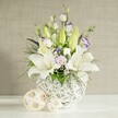 A tranquil, wedding-ready table arrangement is shown in gentle, even light, as if prepared for a reception in an Oxford venue overlooking the Cherwell. Central to the display are several magnificent white lilies, their wide, trumpet-shaped blooms fully open, with petals arching gracefully back and faint green veining drawing the eye towards the softly dusted stamens. Alongside them stand elongated lily buds in fresh light green, some just beginning to part at the tips, giving the bouquet a sense of living movement and unfolding promise. Intertwined with the lilies are lisianthus flowers in white and cream, many edged with a delicate wash of lavender-purple, the color deepening slightly towards the centers like ink fading into paper. Some lisianthus are captured in bud form, slender and gently twisted, adding elegance and quiet tension. Sprays of tiny white filler flowers-similar to baby's breath-float between the larger heads, while discreet pops of deeper purple blooms lend a tasteful contrast. The foliage is lush but airy: fine, feather-like fronds soften the outline, while more solid green leaves tuck around the base and spill slightly over the rim to create a natural, garden-inspired silhouette. All of these elements are arranged in a distinctive white vase with a rounded shape and open-weave lattice design, reminiscent of contemporary rattan but crafted in a smooth, ceramic-style finish. Resting beside it on the spotless white surface are two woven decorative balls in pale, natural tones, their open strands echoing the vase's pattern and adding balance. The scene is framed by a light beige, subtly textured wall that enhances the soft whites and greens. The arrangement exudes peace and understated elegance, ideal for wedding tables in North Oxford, civil ceremonies near the Bodleian, or thoughtful deliveries across the city.