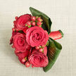 From above, this bouquet appears like a carefully composed painting laid out on a softly woven, light beige fabric, the kind of calming backdrop you might see in a sunlit Oxford townhouse near Summertown. Several full-bloom deep red roses form the tight centre of the arrangement, five or six blossoms gathered so closely that their velvety petals almost overlap. Each rose unfurls in a perfect spiral, with layer upon layer of rich crimson petals suggesting passion, warmth, and lasting affection. Between these blooms, small clusters of round, glossy hypericum berries in a bright red, gently leaning toward orange, punctuate the design with sparkle and texture, reminiscent of tiny jewels scattered among silk. Large, dark green tropical leaves, likely cordyline or similar, curve gracefully around the base, their polished surfaces and bold lines adding structure and a modern edge. They embrace the bouquet like a protective frame, giving it a sense of fullness without overwhelming the roses. At the stems, a coordinating deep red satin ribbon is wrapped with precision, its smooth sheen catching the light and unifying the colour story from petals to handle. The lighting is soft yet clear, highlighting the freshness of the flowers and the natural sheen of the foliage, while the neutral fabric beneath provides a gentle, homely contrast. The overall impression is one of romantic sophistication, ideal for a wedding party photo taken by the Bodleian, an intimate anniversary celebration in North Oxford, or a special delivery that speaks of love and intention crafted by a florist who understands the rhythm of life in the city.