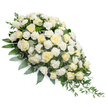 A dignified white sympathy spray is photographed on a pure white background, its elongated teardrop form running diagonally from a full, rounded head of flowers at the upper left to a delicate, tapering point at the lower right. The main body of the arrangement is composed of numerous white and cream roses in varying stages of bloom, some small and tightly curled, others wide open with layered petals that form soft, spiralling hearts. Nestled among them are ruffled white carnations, their petal edges creating a gentle, cloudlike texture that softens the structure of the piece. The flowers rest on a bed of rich greenery, with glossy deep green leaves providing a solid foundation and cool, silvery eucalyptus leaves threaded throughout for a subtle contrast in tone. Slender stems of ruscus or similar trailing foliage extend from the base, especially at the tapered end, where they cascade downwards and outward, giving the spray a sense of graceful movement, like the quiet flow of the Cherwell through Oxford's meadows. The lighting is even and clear, highlighting the crisp whiteness of the petals and the fresh vibrancy of the foliage without any distractions. This classic funeral arrangement feels thoughtfully crafted by a local Oxford florist, suitable for placement on a casket, at the front of a chapel, or beside a framed photograph during a memorial. Its pure white and green palette conveys peace, innocence, and lasting respect, offering a calm, comforting presence for families and friends gathering to say farewell and share their memories.