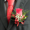 Pinned to the lapel of a tailored charcoal suit, this red rose boutonniere creates a striking yet refined focal point, like a flourish of colour against the stone facades of Oxford's old colleges. At its heart sits a single pinkish-red rose, petals full and velvety, unfolding in smooth, layered spirals that invite the fingertips. Surrounding the bloom, feathery greenery radiates outward in light, airy arcs, giving the arrangement a sense of gentle movement, as if stirred by a breeze off Christ Church Meadow. Speckled among the foliage are small white blossoms of gypsophila, or baby's breath, their star-like flowers dusting the boutonniere with an almost celestial brightness. Small red berries rest at the base, glossy and plump, adding playful texture and a festive undertone that feels at home at an Oxford Town Hall wedding or formal dinner on St Giles. All of the stems are expertly wrapped in a smooth, deep red ribbon that mirrors the bold scarlet necktie knotted just above, creating a clear line of colour from collar to pocket. The lighting is soft and natural, enhancing the rose's subtle sheen and the fresh, green tones of the leaves. The overall impression is one of dignified masculinity and thoughtful design-a floral signature for the wearer rather than a mere accessory. One can almost sense the gentle fragrance of rose mingling with crisp foliage, a living reminder of care, craftsmanship, and the special significance of the day.