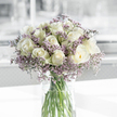 A serene bouquet of creamy white roses and soft lavender statice is arranged in a clear, cylindrical glass vase, placed on a bright white surface that feels like a sunlit windowsill in central Oxford. The roses, around two dozen in number, form a lush, rounded cluster, each bloom composed of tightly layered petals that spiral gracefully toward the centre. Some roses appear just beginning to open, while others are in full, velvety bloom, their outer petals tinted ever so slightly with a whisper of pale green, signalling their freshness. Between the roses, fine stems of tiny purple filler flowers-statice or limonium-create a gentle halo of colour, their small, clustered blossoms giving the design a soft, airy texture. The clear glass vase is simple and modern, allowing a clear view of the straight, green stems standing in clean water, reinforcing the bouquet's crisp, fresh appearance. Gentle natural light, reminiscent of a quiet morning near Oxford's historic colleges or a tranquil corner of Summertown, falls across the arrangement, illuminating the ivory petals and creating delicate shadows that pool on the smooth white surface. The background is intentionally out of focus, fading into light grey and white tones that do not distract, so the eye rests solely on the calm interplay of white and lavender. The overall mood is one of quiet sympathy, dignity, and comfort, an arrangement that would feel entirely at home bringing solace to a family after a service at a local Oxford church or offering a wordless message of support during a difficult time.