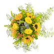 This bouquet invokes the vibrant spirit of Oxford in full summer bloom, as if gathered fresh from the meadows beyond Christ Church. Viewed from above, the arrangement features striking golden sunflowers ringed by plush yellow roses, their petals opening with a quiet confidence that recalls the gentle sunlight across the University Parks. Orange-red hypericum berries peek through, offering playful contrast and lending a modern twist to the classic yellow palette. Trails of feathery asparagus fern and sprays of silvery-blue eucalyptus leaves arc gracefully around the edge, framing the bouquet with a sense of lightness and natural movement-much like the breeze trailing through the alleys of Jericho. The mix of glossy green leaves and wispy ferns provides a lush, textural foundation that balances the boldness of the sunflowers and roses. Subtly perfumed, the fragrance of this bouquet combines fresh greenery with warm, honeyed floral notes. Every element is arranged with the artistry and attention to detail found in Oxford's independent florists, making the bouquet ideal for celebrating birthdays, anniversaries, or simply adding a burst of sunshine to a local kitchen or study. The visual harmony and lively colours invite feelings of happiness, warmth, and timeless celebration.