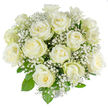 A luminous, hand-tied bouquet of approximately fifteen to twenty creamy white roses, photographed against an isolated white background so every petal and texture reads clearly. The roses vary from tight buds to gently opening blooms; their petals are soft, satiny and tipped with the merest hint of pale green on some outer guard petals - a fresh, just-cut signature that suggests they were gathered the same morning. Interspersed throughout are clouds of tiny white gypsophila - baby's breath - the delicate star-like florets forming an airy veil that cushions each rose and gives the arrangement a weightless, romantic quality. Bright, glossy rose foliage peeks through in places, a vivid green that frames and lifts the white tones, while the bouquet's classic rounded dome keeps the composition balanced and symmetrical. High-key studio light skims across the surfaces, revealing velvety shadows in the petal folds and a faint, clean fragrance one can almost imagine: gentle, slightly green and reassuringly floral. This is a design that reads as purity and calm - suitable for a wedding table, a sympathy tribute, or a refined gift to mark a new beginning. As a florist in Oxford I often picture this arrangement warming a mantelpiece near the Botanic Garden or brightening a quiet bedside in Summertown, its soft presence offering quiet comfort. The image emphasizes craftsmanship, freshness, and an elegant simplicity that feels timeless and deeply comforting.