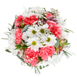 This exuberant Oxford bouquet captures the spirit of spring awakening throughout the city's parks and gardens. At the core, pristine white daisies with luminous lime-green centers beam like joyful sunbursts above the dreaming spires. Coral-pink carnations, their petals richly ruffled, create inviting waves of color that contrast beautifully with delicate clouds of baby's breath scattered throughout, evoking Oxford's gentle misty mornings. Hidden within the arrangement, subtle alstroemeria buds edged with blush-pink and purple hint at new beginnings, much like early blooms in South Park. Lush greenery-silvery eucalyptus leaves mingled with deeper green sprigs-forms a soft, refreshing backdrop, cradling each flower and providing depth and structure reminiscent of leafy avenues along Banbury Road. This composition, expertly designed by local florists, exudes warmth and sincere joy, making it a delightful gift for celebrating milestones, sharing gratitude, or brightening a living space in Jericho or Summertown. The bouquet's gentle textures, inviting colours, and uplifting mood create an immediate sense of comfort and festive cheer-a tribute to the care and creativity found at Flowers Oxford.