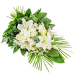 A dignified white and green sympathy spray is shown against a plain white background, arranged in a horizontal composition that gradually narrows from a rounded, full top towards a more pointed lower right tip. Several large white lilies dominate the central section, their petals opened wide in a graceful, star-like display, each bloom immaculate and luminous, while a few buds remain closed, adding height and promise. Around them, clusters of creamy white flowers-resembling roses and carnations-offer gentle contrast, their ruffled and layered petals introducing depth and softness. The central mass of blooms sits atop an abundant bed of foliage: broad, deep green leaves form a solid, verdant base, likely ruscus or salal, their surfaces catching hints of light. From beneath and along the sides, slender, spiky fronds stretch outward, reminiscent of palm leaves, giving the arrangement a classic, chapel-style structure and a sense of forward movement. Softer, rounded sprigs of lighter green, similar to eucalyptus, thread through the design, adding subtle variation in both colour and texture. The crisp white blooms resting on the rich greens create a calm, pure, and respectful mood, perfectly suited for funerals, committal services, or memorial gatherings in Oxford. Whether laid by a graveside in Botley, placed in a church near Cowley Road, or delivered by Flowers Oxford to a service at a local crematorium, this floral tribute conveys deep condolence, lasting remembrance, and a hope for peace.