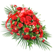 This image shows a grand red funeral spray laid out against a pristine white background, where every flower and leaf can be clearly distinguished. The arrangement is long and gently tapered, densely packed with blooms in the centre and softening towards each end, like a carefully composed farewell laid along the length of a casket. Deep scarlet roses dominate the heart of the design, their velvety petals and classic form giving an immediate sense of romance, respect, and devotion. Nestled around them, richly ruffled red carnations provide volume and a plush, textured surface, while open-faced red gerbera daisies with darker centres bring a bold, contemporary note, their petals radiating like small suns. Throughout the spray, small tufts of delicate white filler flowers break up the solid red, introducing a light, airy contrast that adds dimension and gentle brightness. Near the top-central portion, a wide red satin ribbon is fashioned into an elegant bow, its glossy loops and long, flowing tails weaving in and out of the flowers, echoing the overall colour theme and marking the piece as a formal tribute. The flowers are framed by a generous collar of foliage: long palm leaves fan outward in sweeping arcs, supported by darker, denser greenery and fine, feathery fronds that add movement and softness. This carefully balanced composition, reminiscent of arrangements prepared for services in Oxford's historic churches and crematorium chapels, carries a mood of solemn grace and deep emotion, making it a fitting choice for expressing love, remembrance, and honour at a final farewell.