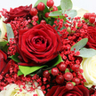 This close-up image captures a sumptuous bouquet that seems ready to be placed on a candlelit table in central Oxford, its colours rich and inviting. Dominating the composition is a fully bloomed deep crimson rose, its velvety petals spiralling outward in a classic, romantic swirl. Around it, multiple dark red roses at slightly different angles and stages of opening build a deep, layered field of red, radiating passion and warmth. Dotted among these are creamy white roses, their softly curved petals and subtle ivory glow bringing a sense of serenity and contrast, like patches of light breaking through. Between the larger blooms, feathery sprays of tiny red Gypsophila blossoms weave in and out, adding a fine, cloud-like texture that softens the arrangement and draws the eye into the spaces between flowers. Shiny red Hypericum berries, round and smooth, cluster here and there like bright beads, catching flecks of light and lending the bouquet a subtly festive, almost Christmas-market charm. Surrounding and supporting the flowers, eucalyptus leaves in silvery green mingle with darker, glossy foliage, providing structure and a cool, refreshing counterpoint to the warm reds. The overall effect is both elegant and intimate, perfect for romantic gestures, seasonal celebrations, or thoughtful same-day delivery to a loved one anywhere from Cowley Road to Summertown, where a burst of red and white blooms can instantly change the mood of a room.