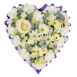 A full, heart-shaped floral tribute is set against a clean white background, the design so densely packed with soft white and cream flowers that it appears like a gentle, living cushion of remembrance, as serene as a quiet corner of Oxford's Botanic Garden. At the centre of the heart, a single creamy white rose is placed with great care, its spiralling petals forming a calm focal point that symbolises enduring love. Around it, layers of white carnations create a plush, velvety surface, their ruffled edges giving the impression of folded fabric or lace that softens the overall silhouette. Interwoven among these are white spider chrysanthemums and smaller daisy-like blooms, each with delicate, fine petals and subtle green or pale yellow centres, introducing a touch of brightness that feels hopeful rather than stark. Scattered throughout the arrangement are smaller cream roses and pale buds, suggesting the many cherished moments shared with the person being remembered. Sprays of cool eucalyptus foliage, their blue-green leaves slightly rounded and silvery, peek through the flowers, breaking up the white tones and adding a fresh, natural dimension that recalls the calm of walking along the Cherwell. The entire heart is edged with a rich purple ribbon, gathered into soft pleats and ruffles to form a neat, scalloped frame that traces the outline with dignity. This border of deep colour gently anchors the light blossoms, lending gravity and respect. The tribute looks like it has been crafted by a local Oxford florist for a funeral or memorial service, intended to bring quiet comfort and express heartfelt condolences to family and friends.