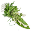 A vertically elongated, hand-tied spray of creamy white Calla Lilies and layered green foliage, photographed on a clean white background so every texture reads clearly. The composition arcs from the top-left down to the bottom-right, a graceful diagonal that feels like a quiet, reassuring sweep; several trumpet-shaped Zantedeschia blooms tilt gently to the right, their smooth, waxy petals catching a soft, diffuse light that reveals subtle cream-to-ivory tones. Around them a variety of deep, glossy tropical leaves form the structural base-broad, emerald planes that have been folded and wrapped to give volume and a sculptural sense of support. Interspersed among these are variegated leaves with bright white and pale green stripes that brighten the middle band of the design and keep the eye moving. Feathery fern fronds peek from behind, their delicate texture offsetting the leaves' solidity, while small, frothy clusters of light green herbaceous sprigs nestle into crevices for an organic, gathered look. Long, thin grass-like blades arch outward, tracing elegant lines that heighten the sense of motion. At the top-left a soft off-white linen ribbon is tied into a generous bow, its woven texture adding a tactile counterpoint to the lilies' satin sheen. The overall mood is one of refined calm-suitable for a dignified tribute, a pared-back bridal accent, or a serene decorative piece. I imagine this arrangement arriving in the mellow light of an Oxford morning, its cool white blooms and rich greenery offering a gentle, honest beauty that reads as both contemporary and timeless to anyone familiar with the quiet corners of University Parks or the Covered Market.