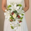 Captured against the subtle elegance of an Oxford bride's ivory lace gown, a luxuriously cascading bouquet takes centre stage, radiating both tradition and vibrant personality. The arrangement is dominated by snowy white oriental lilies, their outstretched petals bearing faint cinnamon-scarlet speckles that add visual intrigue. Nestled within, a sumptuous creamy white rose unravels in flawless spirals, exuding pure romance and classic wedding style. Supporting these key blooms, plump lime-green mums and lush, spherical filler flowers intersperse lively modern accents, reminiscent of Oxford's vibrant college gardens in springtime. Deep red hypericum berries are artfully scattered throughout, injecting cheerful colour and evoking the festive spirit of city centre celebrations. Ethereal sprays of baby's breath float among the bolder flowers, giving softness and a dreamy lightness, while slender green leaves and wispy grasses frame the arrangement, bringing the breezy freshness of the nearby University Parks to the bouquet. Cascading white Phalaenopsis orchids drift elegantly down the front, lending a waterfall silhouette and graceful movement that whispers of tranquil days by the River Thames. Gentle daylight reveals each petal's satiny finish and every textured detail, a testament to the artisan skill of Oxford's local florists. Crafted for brides seeking an unforgettable blend of classic and contemporary style, this bouquet embodies the romance, artistry, and joyful spirit of a wedding day in Oxford.