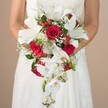 This intimate, close-up photograph spotlights a bride in a graceful white gown, her bare arms and intricate lace bodice supporting a striking cascade bouquet-an artful blend emblematic of Oxford's refined floral styling. The composition highlights the bouquet's theatrical teardrop shape, where immaculate white lilies-freshly opened with proud stamens-stand in harmony with plush scarlet roses, each petal velvet-soft, echoing passion and promise. Cascading phalaenopsis orchids trail elegantly, their delicate forms and pale yellow hearts drawing the eye amid a gentle waterfall of florals, reminiscent of Oxford's riverside vistas. Interwoven among these blooms are brilliant red berries and light, cloud-like clusters of baby's breath, all framed by a lacy halo of ferny greens and deeper leaves that enhance both structure and grace. Occasional spiky green sprigs add intrigue to the composition. The gentle beige backdrop removes distractions, focusing attention on the vivid bouquet and the poised confidence of the bride, suggesting a moment just before she steps into the historic heart of Oxford to celebrate her marriage. This romantic arrangement inspires thoughts of timeless tradition fused with contemporary elegance, perfect for couples planning their dream ceremony near the dreaming spires or at one of Oxford's beloved local venues, with flowers crafted and delivered by those who truly know the city.