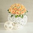 An elegant floral centerpiece sits on a bright white table, featuring a lush, rounded dome of soft peach and apricot roses cradled in a sculptural white lattice vase. Around two dozen roses are gathered tightly together, each bloom showing layers of velvety petals that deepen to a warm, almost golden orange at the heart and fade to a gentler, creamy peach at the outer edges. Between the roses, tiny white baby's breath flowers float like clouds, their delicate clusters adding a misty lightness that softens the arrangement. Occasional glimpses of deep green foliage anchor the bouquet, giving it structure and a fresh garden feel, as if the flowers have just been gathered from a well-tended border in an Oxford courtyard off the Cowley Road. The roses and gypsophila are arranged in a spherical vase crafted from thin white strands woven into an airy, open lattice, allowing slivers of light to pass through and creating intricate shadows on the smooth tabletop. In front of the vase, two decorative white spheres made from the same string-like material echo the design, one slightly larger with a more defined geometric pattern, the other smaller and looser in form, like playful sketches in three dimensions. Behind the display, a simple light beige or soft greige wall with subtle texture provides a quiet, neutral backdrop, letting the warm tones of the roses and the crisp white of the decor stand out. The overall mood is calm, refined, and contemporary, ideal for an intimate Oxford wedding breakfast near the High Street, a sophisticated anniversary dinner at home, or styled photography of modern floral arrangements for local interior designers. The gentle, even lighting highlights every curve of petal and tangle of string, showcasing thoughtful florist craftsmanship and an eye for understated luxury in this serene floral composition.
