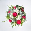 A top-down view of a vibrant, rounded bouquet shows hot pink carnations and deep pink roses gathered closely together against a brilliant white background, so every colour sings clearly. The carnations are full and ruffled, with layers of frilled petals creating a soft yet bold texture, while the roses range from tight buds to fully opened spirals, suggesting blooms at different stages of their life. Between the pinks, clusters of tiny white spray chrysanthemums and airy sprays of baby's breath form delicate clouds, their daisy-like faces and pinprick blossoms softening the composition. Slender white buds, likely alstroemeria or a similar lily-like flower, thread through the design, adding a feeling of elegance and quiet purity. Surrounding and weaving through the flowers, eucalyptus in rounded, silvery-green discs contrasts beautifully with brighter green foliage. Long, arching leaves and darker, broader greens-some folded with a structured florist's touch-create a collar around the bouquet, framing it like a living wreath. The lighting feels like soft daylight, typical of an Oxford morning filtering through a window, making each petal edge crisp and each leaf vein gently visible. This arrangement feels joyful and slightly playful, the sort of hand-tied bouquet you might send to brighten a flat near Cowley Road, cheer a friend recovering after a hospital stay by the John Radcliffe, or sit as a centrepiece on a kitchen table in Jericho. The bouquet visually expresses congratulations, affection, and encouragement in a single lush, celebratory cluster of pink, white, and green blooms.