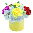 A bright, joyful flower box seen from just above: a round, pastel yellow hatbox overflows with a lush dome of fresh blooms set against a clean white backdrop. At the heart, two large ruffled yellow carnations catch the light with their lemon-bright petals, their layered, feathery edges creating a soft, tactile center. Encircling them are generous clusters of periwinkle-blue hydrangea, each tiny floret forming a cloud-like texture that cools the composition and gives the eye a gentle place to rest. To the left, a deep magenta carnation pushes forward with saturated color and dense, velvety petals; to the right a rich crimson-red carnation balances the palette with warm depth. Slender sprays of vivid green foliage peek through-the fresh, slightly glossy leaves adding contrast, scentless support and a suggestion of garden-fresh crispness. The box itself is a soft lime-yellow paperboard cylinder, whimsically decorated with irregular pastel polka dots in powder blue, pale pink and mint green, some speckled with tiny white flecks-small, playful details that nod to springtime parties and baby showers. The overall impression is celebratory and intimate: a compact, professionally arranged gift that reads as both premium and hand-touched. Soft daylight seems to fall across the petals, emphasizing texture and the subtle tonal shifts in each bloom. A florist's careful balance of color and volume makes this arrangement ideal for a birthday, a cheerful get-well delivery, or as a thoughtful thank-you-an instant room-brightener that communicates warmth and considered craftsmanship.