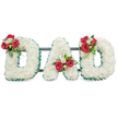 A solemn, three-dimensional funeral tribute spells the word 'DAD' in bold capital letters, each letter densely veneered with hundreds of small, pristine white chrysanthemum blooms that form a soft, reverent carpet of petals. The chrysanthemums' delicate texture reads almost like quiet snow under soft, even studio light, and their subtle, clean scent suggests purity and devoted remembrance. Each letter's perimeter is crisply defined with a deep emerald green pleated ribbon that gives the composition a dignified edge and a classical, almost architectural silhouette. Atop the upper curve of the left 'D', within the central aperture of the 'A', and on the upper sweep of the right 'D', the designer has placed three matching clusters of deep red roses and small white freesia, their velvety rose petals and fragile freesia buds providing warm, human contrast against the cool white field. Lush dark green foliage and slender loops of foliage weave through each cluster, adding depth, movement, and a natural frame to the blooms. Subtle dark green or black metal supports run horizontally behind the letters, discreet but necessary, keeping the display steady for presentation at a chapel, graveside or memorial table. Set against a bright white background with gentle, diffused light, the arrangement reads as both personal and ceremonial - a traditional yet artfully composed expression of love, respect and mourning. As a local florist might advise families in Jericho, Summertown or around the Oxford Covered Market, this style of letter-based tribute is chosen to honour a father's memory with clarity and heartfelt symbolism, pairing white chrysanthemums for truth with red roses for enduring affection.