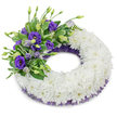 A carefully formed circular funeral wreath set against a clean white studio background, its calm geometry and soft textures intended to offer comfort and quiet presence. The broad ring is entirely built from tightly clustered, snow-white cushion chrysanthemums whose ruffled, multi-layered petals create a plush, cloud-like surface that reads as purity and gentle reverence. At the upper-left quadrant a thoughtful accent cluster breaks the white with a concentration of purple Eustoma (Lisianthus) - from deep violet, fully opened blossoms showing their delicate yellow throats to paler lavender buds held on slender stems - introducing a velvety, almost tactile contrast. Interwoven throughout the purple blooms is a variety of fresh green foliage: glossy, variegated leaves and airy, fern-like fronds that add movement and a natural, garden-fresh aroma reminiscent of a walk through the Botanic Garden on an overcast morning. Along both inner and outer rims a whisper of crinkled, dark purple mesh or lace peeks out, grounding the composition with a refined accent that mirrors the lisianthus tones. Soft, diffused studio light creates a faint shadow beneath the wreath, lifting it gently from the white plane and revealing the depth and craftsmanship of the floral massing. This arrangement reads as dignified and consoling-appropriate for services at St Giles, a quiet memorial near the Radcliffe Camera, or a graveside tribute in Summertown-conveying remembrance, respect and the steady comfort of shared sorrow without overwhelming sentiment.