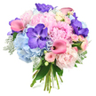 A lavish hand-tied bouquet glows against a pure white backdrop, the colours and textures unfolding like a romantic story told in flowers. At the centre, generous light pink peonies open fully, layer upon layer of soft, ruffled petals creating a plush, cloud-like heart that feels both tender and luxurious. Surrounding them, rounded heads of powder blue hydrangeas form a cool, soothing halo, each tiny floret adding to the sense of softness, as gentle as morning light over the Oxford rooftops. Threaded gracefully through this pastel base are deep purple Vanda orchids, their broad, velvety petals marked with delicate speckling, providing dramatic, jewel-toned highlights that instantly elevate the composition. Sleek fuchsia calla lilies curve elegantly through the arrangement, their sculptural, trumpet-shaped blooms adding movement and a vivid burst of colour that feels modern and confident. Between these feature flowers, clusters of blush pink spray roses offer a finer, more intricate texture, like little whispers of classic romance. The bouquet is framed with rich dark greenery that anchors the design, while touches of silvery-green dusty miller peek through, their soft, velvety leaves lending a cool, misted edge. The natural stems are gathered and securely tied, clearly crafted by an experienced florist accustomed to creating showpiece bouquets for Oxford weddings, graduations, and anniversaries. The overall mood is serene yet celebratory, making it an ideal arrangement for marking life's special moments across the city, whether delivered to a college in the heart of Oxford or a family home in Cowley or Marston.