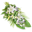 A dignified, elongated sympathy spray in tones of white, green, and subtle lavender is arranged on a diagonal and photographed against a stark white background for clarity. The design begins with a fuller, rounded cluster of blooms at the upper left, where several white oriental lilies open generously, their trumpet-shaped petals curving outward around warm yellow-green stamens. Nearby, partially open buds hold their petals close, suggesting a moment of stillness before bloom. Threaded throughout are sprays of lisianthus: smaller, bell-like flowers in pure white, their edges kissed with a fine line of lavender or light purple, along with numerous tight buds that resemble tiny pearls on slender stems. The interplay between the large, open lilies and the more delicate lisianthus gives the arrangement both presence and tenderness, reminiscent of the gentle balance of old and new you see across Oxford's streets and college gardens. Beneath and around the flowers, an abundant array of greenery forms a strong yet graceful foundation. Broad, dark green leaves, possibly aspidistra or similar, are laid in layers, some left wide and flat to provide depth, others folded and rolled into clean, architectural shapes near the centre, showcasing careful craftsmanship. From the right edge and lower tip, fine palm-like fronds sweep outward in arcs, lengthening the silhouette and creating a sense of soft movement, as though the spray were shaped by a quiet breeze. The overall impression is one of quiet respect and heartfelt condolence, the kind of funeral tribute that would sit beautifully beside a coffin or memorial in an Oxford church, crematorium, or cemetery, offering a calm, floral expression of sympathy.