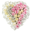 A lush heart-shaped arrangement of roses and baby's breath appears against a plain white background, every blossom clearly visible as if you were standing beside it at a funeral service in Oxford. The heart is perfectly proportioned and filled to the edges, with no empty spaces, giving it a comforting, substantial presence. Its design is deliberately divided into two harmonious halves. On the left, a dense gathering of creamy white and pale lemon-toned roses sits closely together, each one opening in soft, layered curls that evoke purity, peace, and quiet reflection. On the right, an equally dense field of soft, medium pink roses creates a warm, loving counterbalance, their deeper colour speaking of affection, gratitude, and cherished memories. Along the central line where the two colours meet, as well as around the entire outline of the heart, fine stems of white gypsophila - delicate sprays of baby's breath - are tucked between the roses. These tiny blooms form a light, feathery border, softening the structured shape and giving the impression of a gentle white mist around the heart. The simple white background keeps all attention on the flowers themselves: the velvety texture of the petals, the subtle gradations in colour, and the care visible in the balanced composition. Crafted in the style of an experienced local florist, this heart would be a fitting tribute for a funeral or memorial gathering anywhere across Oxford, from Iffley to North Oxford, offering a visual message of love, remembrance, and peaceful farewell.