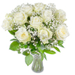 A serene, elegant bouquet of creamy white roses and wisps of baby's breath sits in the centre of the frame, captured against a clean white backdrop that makes every petal and leaf read clear and luminous. About a dozen large roses are fully open, their satin-like petals unfurling in gentle spirals; some show a warm, creamy-yellow blush at their tightly wound centres, lending subtle depth to the overall ivory palette. Scattered between the roses are cloud-like sprays of gypsophila, those tiny clustered blooms creating a soft, misty texture that lightens the composition and frames each fuller blossom with delicate points of white.
Beneath the flowers, generous green foliage fans out in differing shapes and tones-broad glossy leaves and smaller textured fronds that set off the purity of the roses and add natural contrast and volume. The stems are neatly trimmed and visible through a simple, slightly flared clear glass vase, the water sparkling under even, natural light. The lighting is bright but soft, revealing the velvety surface of the petals, the fragile stems, and the subtle shadows that give the arrangement depth.
As a florist in Oxford I picture this bouquet in quiet moments-a chapel aisle at Magdalen, a bedside table in Jericho, or as a calming centerpiece in a home near University Parks. Its scent is gentle: a pale, clean rose note threaded with fresh green undertones. It reads as comforting and refined, suitable for weddings, sympathy, anniversaries, or any occasion calling for quiet grace and sincerity.