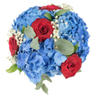Seen from a direct top-down view against a pristine white backdrop, this circular bouquet reads as a bold, celebratory composition of red, white and blue. At its heart lies a dense cushion of blue hydrangeas - clusters of rounded florets whose blues range from pale sky to deeper sapphire - their soft, cloud-like texture forming a plush dome. Punctuating that blue field are three richly coloured red roses, their velvety petals tightly spiralled and pushing upward as confident, passionate focal points. Scattered like tiny stars across the surface, delicate sprays of white baby's breath (Gypsophila) introduce a bright, airy filigree that lightens the composition and gives the eye places to rest. Muted green eucalyptus leaves with their smooth, rounded silhouettes and a few sharper, glossier foliage pieces are woven into the arrangement to provide contrast, depth and a faint, herbal scent that complements the floral notes. The lighting is even and cool, emphasising the flowers' textures and the precise, dome-shaped construction typical of a formal round bouquet. As a local florist's design thought through for Oxford events, this arrangement could serve as a dignified centrepiece or a commemorative tribute for Remembrance Sunday or St George's Day gatherings; its classic colourway also suits anniversaries and civic celebrations around the High Street and Covered Market. The overall effect is one of lush abundance and careful craftsmanship - a small, composed landscape that feels both festive and respectfully restrained, ideal for conveying honour, affection or civic pride when delivered within Oxford and nearby neighbourhoods.