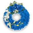 A deeply respectful circular wreath composed almost entirely of small, electric royal-blue blooms-likely chrysanthemums or tightly petalled carnations-creates a continuous, velvety ring against a crisp white backdrop. Viewed straight on, the massed blue flowers read as a plush, seamless texture, each tiny petal catching light to suggest depth and movement in the wreath's body. Around the outer and inner edges, a delicate fringe of tiny white florets-reminiscent of gypsophila-softens the silhouette and provides a gentle counterpoint to the saturated blue. At the very top, a focal cluster of three fully opened, velvety deep-blue roses commands the eye; their unfurling petals are shaded with subtle highlights and are tucked into small sprigs of pure white baby's breath and a few glossy deep-green leaves that break the cool palette with natural warmth. From the left-hand side, graceful stems of pristine white orchids-likely Phalaenopsis with broad, open petals-cascade downward, their long, elegant form introducing vertical movement and an air of fragile grace; a slender curving stem dotted with pale yellow-green buds weaves among the orchids, suggesting gentle renewal. The wreath's inner rim is neatly finished with a ruffled white satin or silk ribbon, framing the central opening in a manner suited to formal remembrance. Softly scented and composed with thoughtful balance, this arrangement reads as a solemn but hopeful tribute, ideal for funerals or memorials that seek to convey serenity, fidelity, and enduring respect. As a local touch, imagine it arriving quietly for a service in Oxford's Botanic Garden chapel or a funeral at a family church near Jericho, where the colour and composition bring calm and dignified comfort to gatherings of mourning.