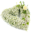 A serene, heart-shaped wreath formed almost entirely from a dense cloud of tiny white Baby's Breath (Gypsophila), each little bloom packed closely to create a soft, billowing texture that reads like a gentle snowfall across the silhouette of the heart. The overall impression is of airy purity: the clustered blossoms catch light in pearl and cream tones, their fine stems giving a feathery, weightless feel that invites quiet contemplation. Nestled at the upper right curve of the heart is a single creamy-white rose, its petals still elegantly furled in a classic spiral, offering a calm focal point whose smooth, satiny surfaces contrast with the Baby's Breath's cloudlike granularity. Around that rose, deep green ivy leaves-glossy and lobed-and slender, eucalyptus-like sprigs weave through the white, adding cool, silvery-green accents and a soft herbal scent that would be gentle in a chapel or beside a graveside.
Set against a plain white background that heightens the arrangement's purity, the piece reads as both a visual and emotional gesture: respectful, tender, and composed. The florist's craftsmanship shows in the careful balance of texture and line-the heart's symmetrical curve softened by the trailing greenery along the right side-and in the way the solitary rose lends quiet dignity without overpowering the chorus of tiny blooms. This is a classic sympathy tribute suited to a memorial service, funeral, or private remembrance, a floral expression of enduring love, consolation, and peace that feels as appropriate in an intimate family chapel as it would by the River Isis or in a service near Oxford's Botanic Garden.