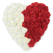 An overhead view of a large, heart-shaped composition made entirely from tightly clustered carnations, the left half a soft, creamy white and the right half a deep, velvety red, set against a bright white background. The surface reads as a lush, tactile carpet: each carnation's ruffled, crinkled petals sit like tiny waves, creating a richly textured topography that invites touch. The two color fields are separated by a deliberate vertical division - an organic, gently undulating line where cream meets red - so the heart reads as a single, unified form while still holding clear contrast. The flowers' subtle clove-like scent seems to drift up in the mind's eye, while soft, even light reveals every petal's layered shadow and highlights the natural depth of each bloom. This arrangement carries a respectful, contemplative mood; its balanced simplicity can mean personal love or public solidarity, and in the context of community events in Oxford it often appears at memorials and civic commemorations around Broad Street and the Botanic Garden. A florist in the city might place such a heart on a white plinth for a quiet tribute outside a college chapel or at a remembrance gathering near Magdalen Bridge. The craftsmanship is meticulous: blooms selected for uniform size and freshness are placed so the silhouette is clean and the textural rhythm remains consistent. Seen from above, the heart is both a single emblem and a mosaic of individual flowers - an expression of unity through distinctly felt parts, a floral statement that is visually powerful and emotionally tender for moments of mourning, celebration, or civic pride.