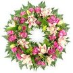 A lavish circular sympathy wreath is displayed here against a spotless white background, its colours radiating warmth and gentle comfort. The wreath is entirely filled with blossoms and foliage, creating an unbroken halo of flowers that speaks of continuity and eternal love. At the forefront are numerous roses in shades of deep magenta, vivid fuchsia, and softer pinks. Each rose is distinct: some are tightly closed buds, smooth and neat, while others are fully open with generous, velvety petals curling outward in intricate layers. Between the roses, graceful double lilies are woven through the design, their large petals painted in creamy white, blush pink, and very soft peach. A few lilies lie wide open, revealing detailed stamens and softly speckled throats, while several fresh lime-green buds offer a glimpse of blooms yet to open, adding a dynamic, living quality to the wreath. Rich greenery surrounds and supports the flowers. Feathery fern fronds extend outward in delicate sprays, creating a soft, natural outline, while glossy, deep green leaves fill the inner structure, ensuring the wreath feels substantial and well-balanced. The contrast between the intense pinks and the cool greens is enhanced by the pure white background, making every petal edge and leaf vein visible, as though the arrangement had just been placed carefully on a studio table. This thoughtful composition suggests the work of a skilled local Oxford florist, the kind of wreath chosen to honour a loved one at a funeral service in areas from Jericho to Cowley, offering a dignified, fragrant symbol of sympathy, remembrance, and enduring affection.