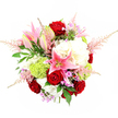 A lush, full bouquet is captured from a slightly angled, top-down view against a pristine white background, highlighting a rich interplay of reds, pinks, whites, and fresh greens. At the centre, several deep red roses form a romantic focal point, their velvety petals tightly curled yet gently opening, suggesting warmth and intimate emotion. Around them, large pink stargazer lilies stretch out in star-shaped blooms, their petals adorned with darker pink speckles and long stamens that reach outward, evoking the impression of a sweet, luxurious fragrance. Generous clusters of creamy white hydrangeas fill much of the lower portion of the arrangement, their dense, ruffled florets lending a pillowy, cloud-like volume that balances the stronger colours. Bright lime green Green Trick-style dianthus or pom-pom chrysanthemums are tucked between the whites and pinks, their soft, mossy spheres adding a contemporary twist and an invigorating pop of colour. Feather-light plumes of blush pink astilbe rise and drift around the edges, giving the bouquet a soft, airy halo and a sense of gentle movement. Scattered hints of lavender and fuchsia-toned filler flowers introduce delicate notes of purple, deepening the overall palette without overwhelming it. The composition is framed by glossy dark green rose leaves and lighter, ferny greenery, giving depth and a natural, garden-fresh feel. The bouquet feels carefully balanced and elegantly composed, the kind of premium floral gift a local Oxford florist might prepare for engagements, milestone birthdays, or graduation celebrations, ready to be delivered from the historic city centre out towards Headington, Botley, or across the river to Iffley.