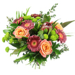 Captured against a pure white background, this hand-tied bouquet reveals every nuance of its colours and forms, like a still life inspired by the soft, changing light over Oxford's spires. At its heart, generous roses in mellow peach and apricot shades spiral open in velvety layers, offering a sense of calm romance and understated luxury. Surrounding them, Gerbera daisies in deep burgundy, magenta, and dusty rose extend their long, neat petals around golden and orange centres, adding a lively rhythm and a hint of playful brightness, much like the bustle of cafes around Cowley Road. Rising slightly above, a bold protea commands attention, its distinctive cone shape and overlapping reddish-brown and maroon bracts giving the bouquet a contemporary, almost sculpted focal point that contrasts beautifully with the softness of the roses. Dotted in between are clusters of vivid lime-green button chrysanthemums, their compact, rounded heads creating a cushiony texture and an invigorating splash of colour akin to new foliage in Christ Church gardens after a rain shower. Encircling all of this is a rich mix of greenery: glossy, deep-green leaves, slender blades, and silvery eucalyptus sprigs that lend both volume and a cool, refreshing impression. The stems are tightly gathered at the base, revealing the care of a skilled local florist and making it effortless to drop straight into a vase in a Summertown sitting room or a study near St Giles'. The overall effect is joyful, modern, and heartfelt-perfect for celebrating special occasions, offering congratulations, or simply bringing a moment of natural beauty into everyday Oxford life.