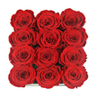 Viewed from overhead, this arrangement shows twelve sumptuous red roses nestled tightly together in a sleek, dark square box, the blooms aligned in a perfectly even 3x4 grid. The roses themselves are the undisputed stars of the image: each one fully open yet immaculate, with velvety petals curling inward in precise spirals that speak of expert conditioning and timing. Their colour is a deep, romantic crimson-classic and timeless-made richer by the way the light grazes the petal tips, creating tiny highlights that contrast gently with the darker folds toward the centres. From the perspective of a florist working in Oxford, this looks like a carefully curated luxury piece, the kind of design someone might send to a loved one living near Headington or just off Banbury Road when they want to make a bold, heartfelt statement. The roses are set so closely that they almost touch at the edges, forming an unbroken field of red with just the faintest suggestion of the box's glossy rim visible at the bottom of the frame. No foliage or filler breaks the surface; the composition is deliberate and minimalist, allowing the eye to move from bloom to bloom and appreciate the evenness of size, shape, and shade. It carries the feeling of lifting the lid on an indulgent romantic gift-intimate, modern, and intensely emotional. This image evokes late-night confessions, anniversary surprises, or a memorable Valentine's Day in Oxford, encapsulated in a compact square of flawless red roses presented with quiet, confident elegance.