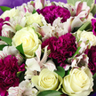 This photograph presents a lush, close-up view of a hand-tied bouquet that fills the frame with refined colour and texture, as though it has just been delivered to a townhouse near Oxford's Iffley Road or a cosy café off Broad Street. The arrangement is anchored by creamy white roses, their petals arranged in neat spirals that gradually loosen as they open, revealing subtle hints of buttery yellow deep within their centres. These roses bring a sense of calm elegance, their smooth, satiny surfaces catching the light in soft highlights. Interwoven with them are rich magenta and purple carnations, whose densely layered, frilled petals create a velvety, almost cloud-like mass of colour. Their deeper tones introduce drama and romance, making the paler roses appear even more luminous by contrast. Threading between these focal blooms are white alstroemeria flowers, sometimes called Peruvian lilies, each blossom composed of slim petals that flare outward with an easy grace. Fine pink and burgundy streaks and freckles line the insides of the petals, adding detail reminiscent of delicate ink drawings in a well-loved Oxford notebook. Medium-green foliage is tucked between the flowers, with smooth, broad leaves that curve gently, creating natural pockets of shadow and space so each bloom can be appreciated. Around the outer edges of the bouquet, a soft lavender wrapping peeks through, cradling the flowers and subtly echoing the purples of the carnations without overwhelming the design. The lighting is gentle and even, emphasising the freshness and layered textures of the arrangement. The bouquet in this image feels both polished and heartfelt, making it suitable as a sophisticated gift for birthdays, thank-you gestures, or quiet celebrations anywhere across Oxford, from the historic colleges to modern riverside apartments.