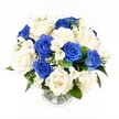 A rounded bouquet of blue and white flowers rests in a clear glass vase, set against a pristine white backdrop that focuses all attention on the blooms themselves. The arrangement has the polished, thoughtful look of a sympathy tribute crafted by a skilled Oxford florist, ready to be delivered to a home in Cowley or a chapel near the city centre. Rich royal blue roses are scattered throughout the dome, their velvety petals forming deep, swirling centres that anchor the design with a calm intensity. Cradling and surrounding them, creamy white and ivory roses open in full, layered blossoms, their soft tones adding warmth and serenity to the cooler blues. Among these larger blooms, graceful white freesia offer slender arcs of movement, each stem lined with small, trumpet-like flowers that introduce a delicate texture and suggest a light, fresh fragrance. Threads of fine white gypsophila, or baby's breath, weave through the bouquet, filling spaces and creating a gentle, cloud-like softness. At the base and between select flowers, deep green foliage provides a subtle frame, its natural tones enhancing the clarity of the blue and white colour scheme. The cylindrical glass vase below reveals neatly cut stems submerged in a little water, its ribbed base catching the light in faint glimmers that bring a touch of refinement. The overall composition feels tranquil and contemplative, a comforting blue and white arrangement that quietly expresses sympathy, remembrance, and support across the Oxford community.