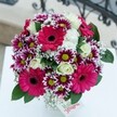 This eye-catching Oxford bouquet radiates cheerful elegance and contemporary flair, making it the perfect surprise for a birthday or anniversary. At its heart, vivid hot pink Gerbera daisies steal the show, each bloom bursting with visibility and charm, their velvet petals fanning out vibrantly from shadowed, detailed centres. Threaded between are playful chrysanthemums-each petal a fusion of magenta and white, splashed with lime-green at the core-echoing fireworks above the rooftops of Summertown. Creamy white roses nestle gracefully among the brighter blossoms, imparting a soft, buttery warmth that contrasts beautifully with the surrounding colours and recalls the quiet sophistication of Oxford's city centre boutiques. Wispy baby's breath-light as air-drifts gently through the bouquet, lending an ethereal, almost magical touch that softens every edge. Lush, glossy foliage frames and grounds the entire arrangement, its verdant depths balancing the bright florals above. Resting on a smooth white table and set against a softly blurred background with hints of classic metalwork, the bouquet projects a sense of celebration and joy from every angle. Whether displayed in a Jericho flat or sent as a 'just because' gesture, this bouquet from Oxford feels alive with the promise of happiness, delivered fresh to doorsteps across the city and inviting light into any space.