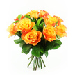 A vibrant bouquet of bi-colour roses dominates the frame, glowing warmly as if lit by late afternoon sunshine over an Oxford courtyard. About a dozen roses are bunched closely together in a rounded, hand-tied style, every bloom open and generous. The petals start with a bright, lemon-yellow hue at the very center, then transition gradually through golden tones into rich orange and flame-like tangerine at the tips, with some petals kissed by a faint red-orange edge. This smooth gradient of colour creates a soft yet striking effect, reminiscent of a glowing sky over the spires. Lush, deep green leaves weave in and around the roses, their smooth, slightly glossy surfaces and clear veins giving structure and a refreshing contrast to the warm petals. The foliage helps frame each bloom, lending the arrangement a natural, garden-fresh look that feels at home from Cowley to Summertown. Below the mass of colour, the stems are neatly gathered into a compact bundle, straight, sturdy, and freshly cut, indicating a bouquet ready to be placed in a favourite vase or handed over as a heartfelt gift. The background is a clean, brilliant white, free from distraction, which amplifies the intensity of the yellows and oranges and draws attention to the layered textures of each rose. The overall mood is optimistic and celebratory, perfectly suited for marking life's milestones, lifting the spirits on a grey day, or bringing a burst of colour to an Oxford study or living room.