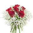 Evoking the tranquil romance of Oxford's riverside walks and stone cloisters, this beautifully poised bouquet features six lush, full-bloomed red roses at its heart, each petal rich with velvety depth and quiet allure. Their passionate crimson is made more striking by an abundant settling of cloud-like white baby's breath, the Gypsophila's tiny blossoms bringing a gentle air and soft fragrance, much like a fresh morning in University Parks. The contrast between the lush, spiralled red roses and delicate, misty filler flowers provides visual drama while remaining elegantly restrained. Wrapped neatly at the base, the green stems are fresh and vibrant, signifying not only expert sourcing but also the artistry and attention local Oxford florists devote to every bunch. Framed against a pure white background, the colours and textures radiate-a timeless combination that feels as suited to a Magdalen College celebration as to an intimate moment shared in Jericho. This bouquet is a classic expression of affection, perfect for those times when an unspoken gesture delivered across Oxford carries more meaning than words-a testament to lasting love, thoughtful appreciation, and the quiet beauty that flourishes in Oxford's historic lanes.