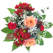 Against a clean, pure white background this hand-tied bouquet reads like a small, secret garden brought indoors. The composition is densely packed and perfectly circular, so the eye rests on two large peach-coloured roses at the centre, their petals unfurling in soft spirals with a faint blush of pink at the edges. Around them, deep crimson and burgundy chrysanthemums with cheerful lime-green centres form a ring of rich, daisy-like texture, while a single smaller, tightly budded classic red rose peeks through as a jewel of intensity. Wisps of white baby's breath (Gypsophila) float between the larger blooms like morning mist, softening the palette and giving the bouquet an airy counterpoint to its lushness. A dramatic, spiky deep-burgundy bloom-reminiscent of a protea-introduces an exotic, sculptural note, and slender stems of silvery-green eucalyptus weave through the mass, their rounded leaves tempering the warm tones with a cool, modern edge. Broad, glossy dark-green foliage fans beneath and around the flowers, anchoring the arrangement and adding depth under gentle, natural daylight that highlights the velvety textures and subtle colour shifts. The scent is quietly rosy with a faint green earthiness from the foliage, suggesting spring renewal and intimate celebration. This arrangement suits birthdays, anniversaries, or as a thoughtful centrepiece for a breakfast table near Oxford's Covered Market or a sunny window on High Street; it feels like a warmly personal gift crafted by a florist who knows how to balance colour, scent and form with quiet confidence.